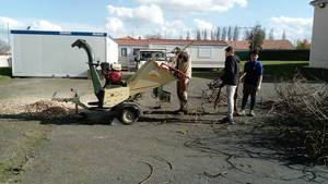 broyage branche (4)