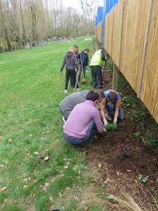 epi agro eco plantation verte vall