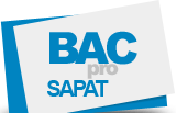 BAC PRO Services aux personnes et aux territoires