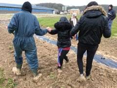 plantation (16)